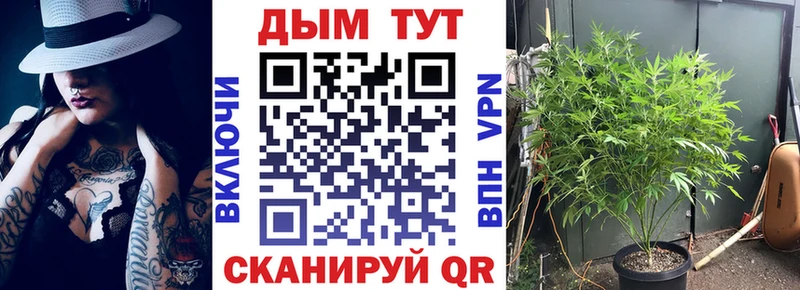 Марихуана семена  Рославль 